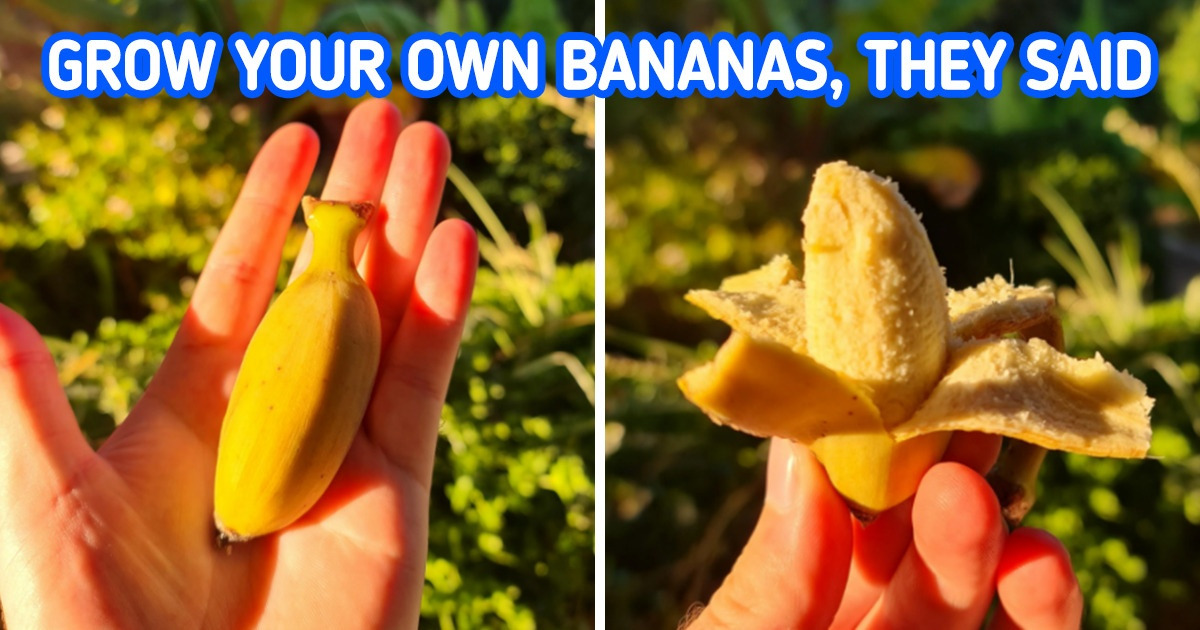20 People Who Have Had Enough With the Universe’s Pranks