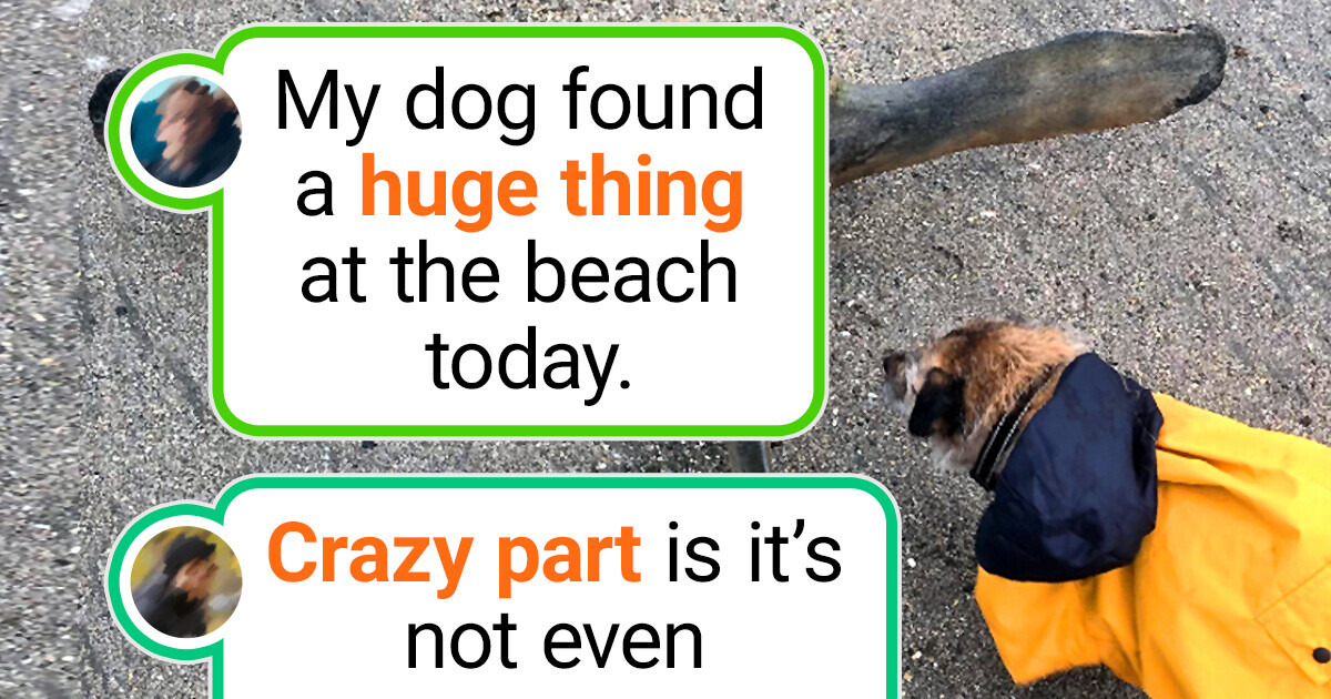 20+ Sudden Beach Finds, Their Discoverers Couldn’t Resist Sharing With the World