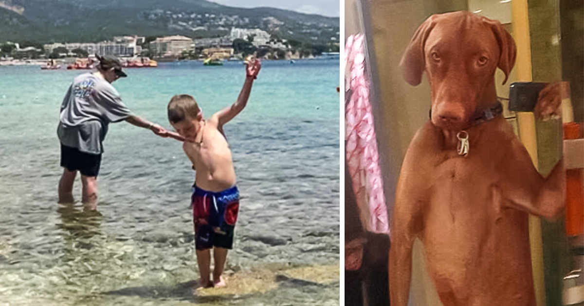 15 Times the Internet Gave Us Front Row Seats to Unique Sights