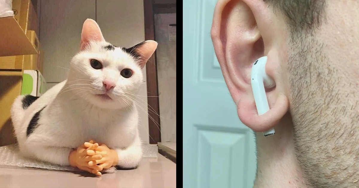 17 Pictures That We Can’t Believe Actually Exist