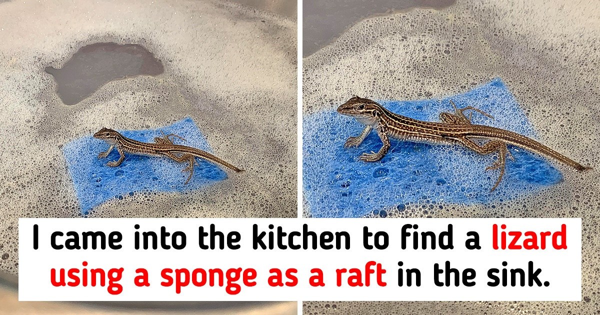 15 Times People Saw Something That Stirred Their Curiosity