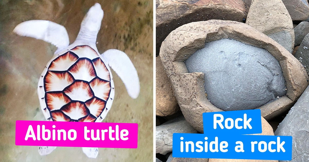 17 Times Nature Proved to Be the Ultimate Mystery Movie