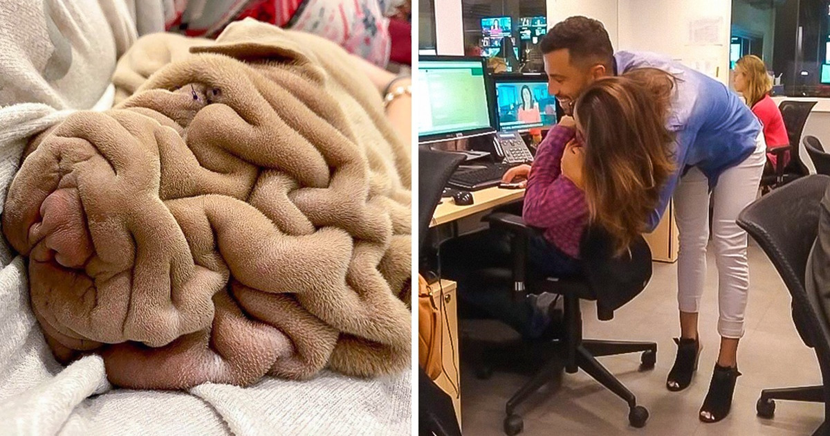 19 Pictures That Manage to Completely Confuse the Human Mind