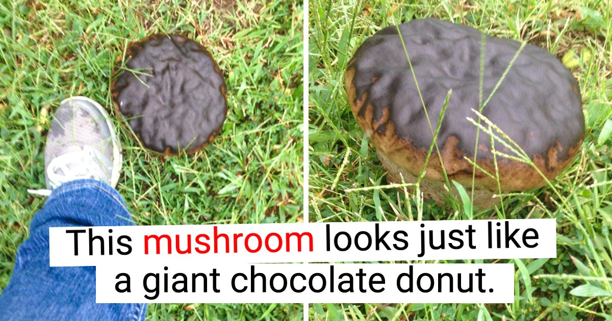 15 Times People’s Vision Couldn’t Decipher What’s Going On