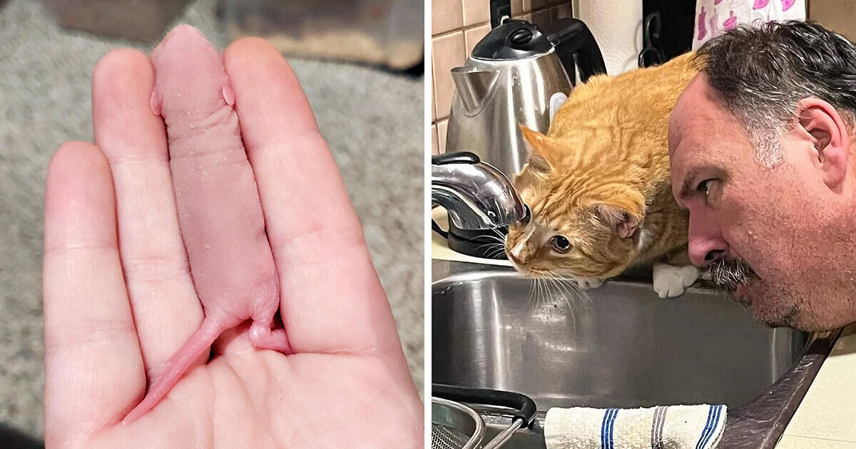 20 Photos That Will Break Down Resistance to Cuteness