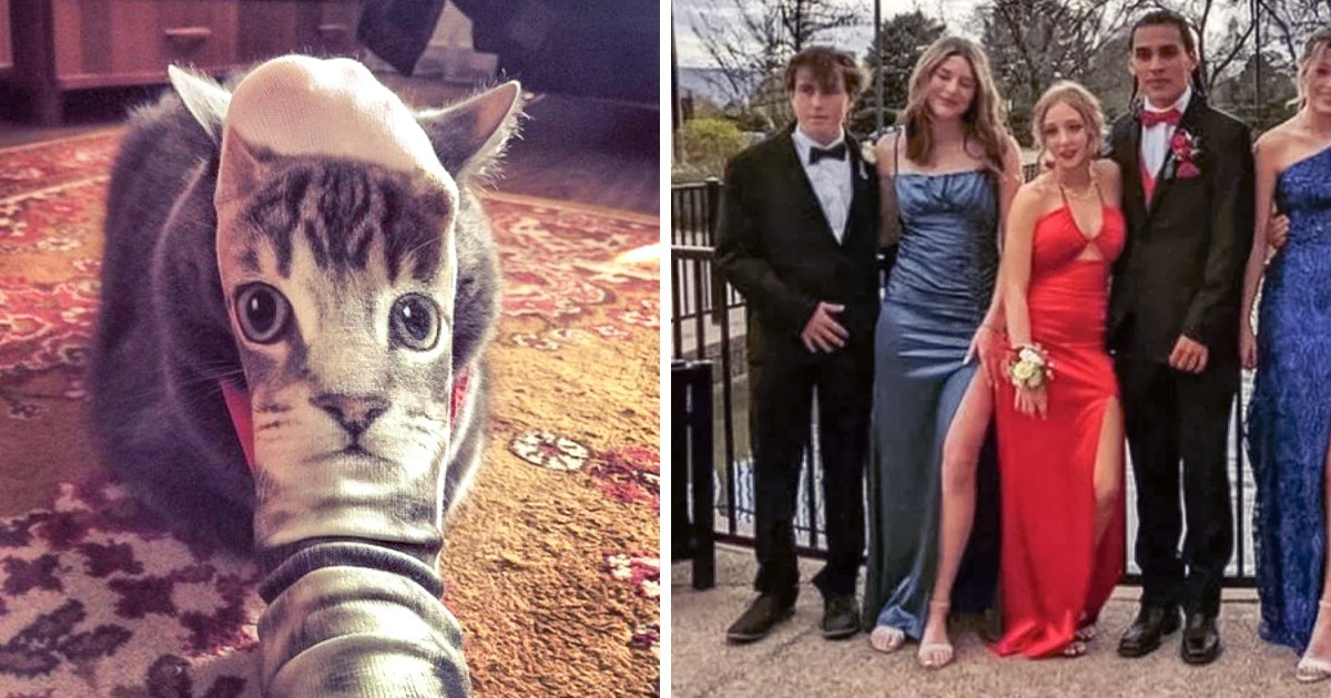 15 People Who Knew Exactly When to Press Their Shutter Buttons 15 People Who Knew Exactly When to Press Their Shutter Buttons
