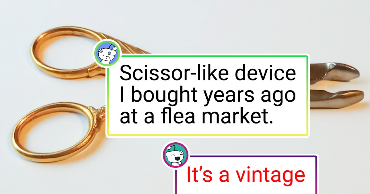 17 Times Internet Sherlocks Came to the Rescue 17 Times Internet Sherlocks Came to the Rescue