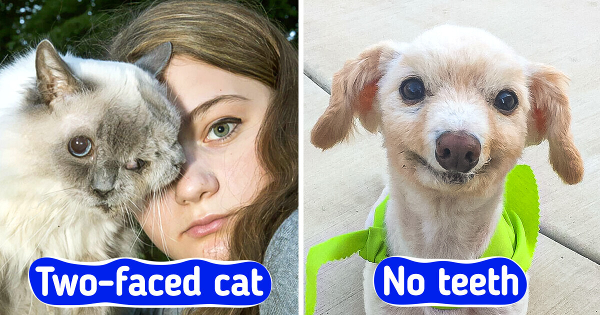 22 Animals Who Are too Unique for Their Own Kin