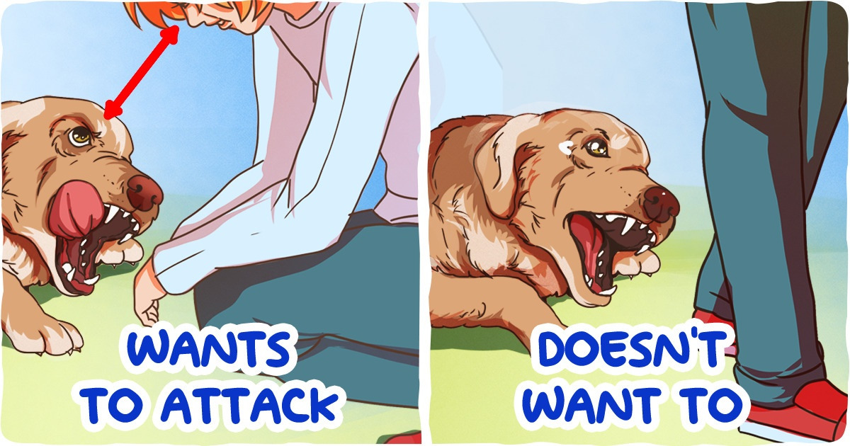 9 Tips on How to Behave in Dangerous Situations 9 Tips on How to Behave in Dangerous Situations