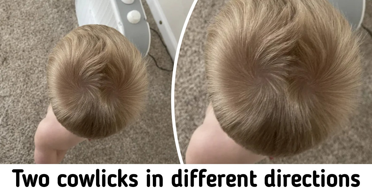 16 People Who Couldn’t Help but Share Their Unique Findings