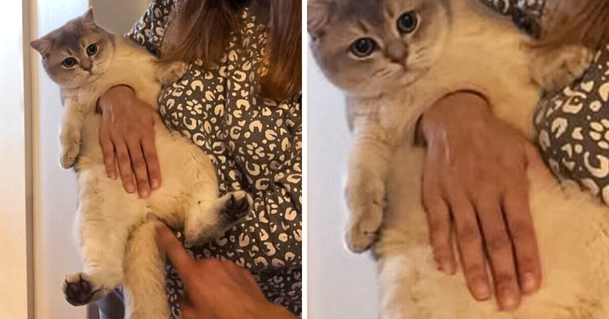 19 Photos With Perspectives so Wild, You’ll Need to See Them to Believe Them