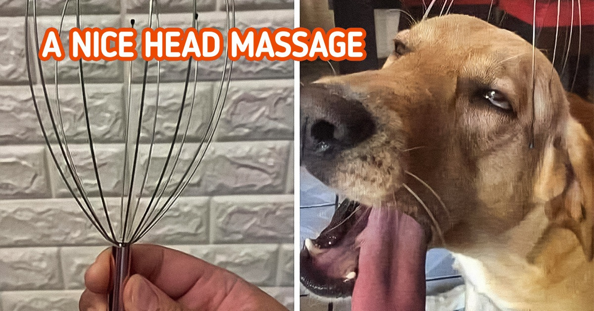 15+ Humorous Pics to Make Your Day Better
