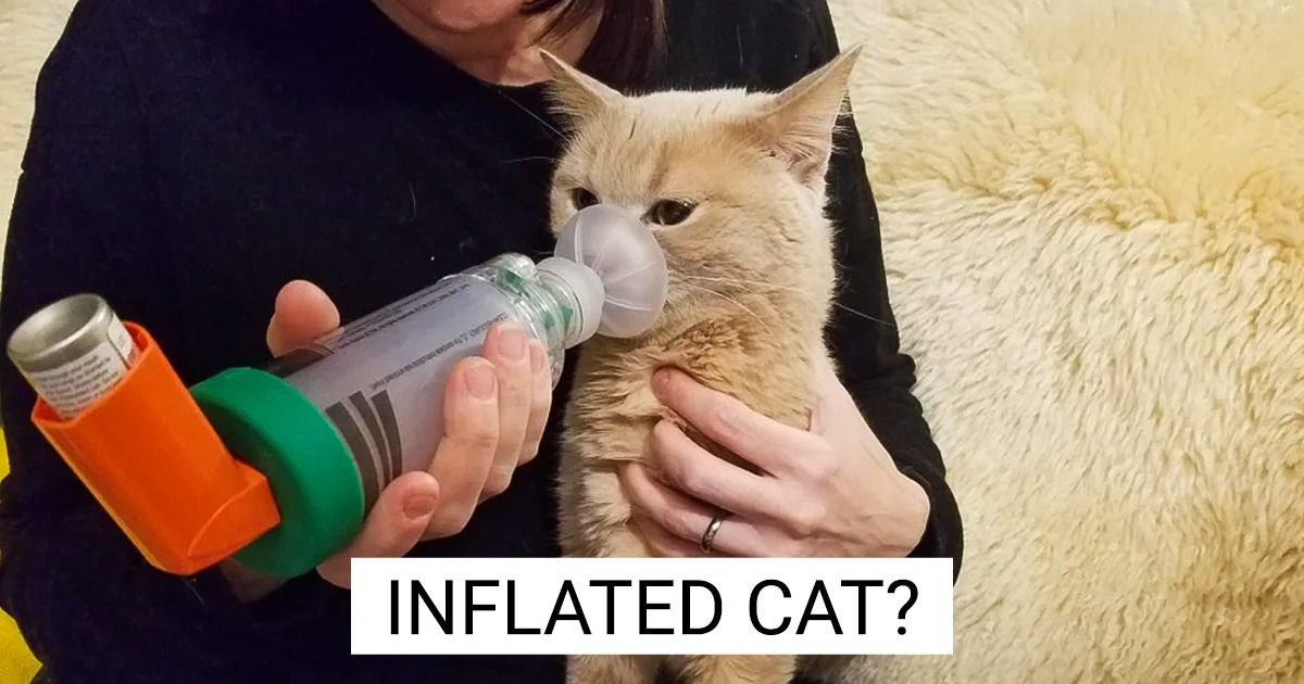 15 Pictures That Require a Closer Second Look 15 Pictures That Require a Closer Second Look