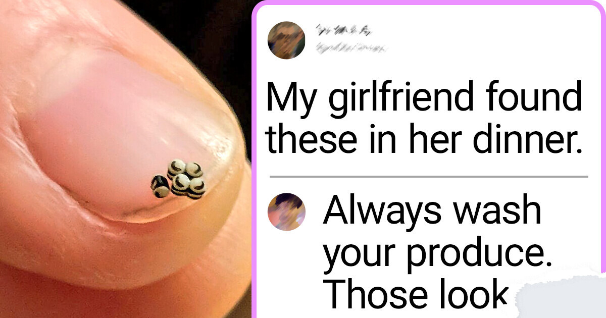 17 Mysterious Items Everyone on the Internet Tried to Decode 17 Mysterious Items Everyone on the Internet Tried to Decode