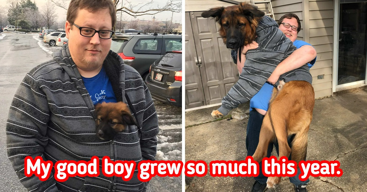 20 Pet Pics That Prove Time Flies When We Have a Furry Best Friend