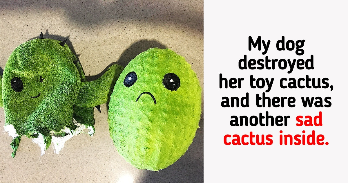 22 Pics Proving That a Fascinating Surprise Is Waiting For Us at Every Corner