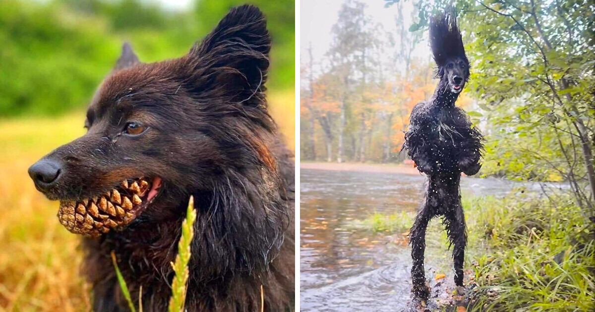 15 Times When “What on Earth?” Claim Was Really to the Point