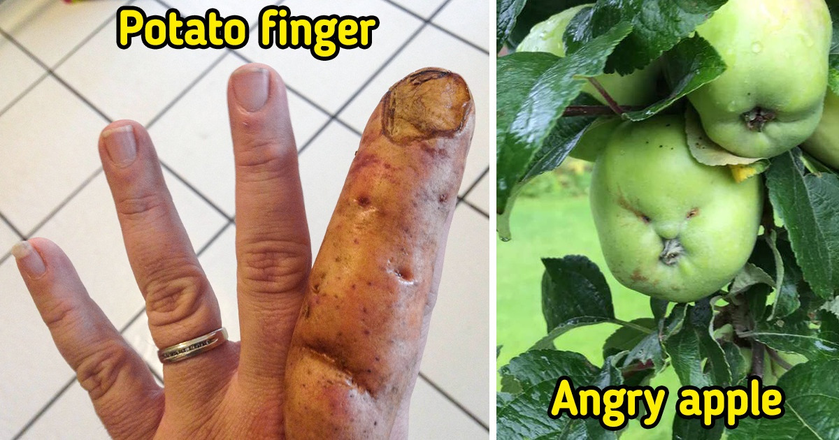 17 Pics That Will Make Your Eyes and Brain Start an Endless Discussion