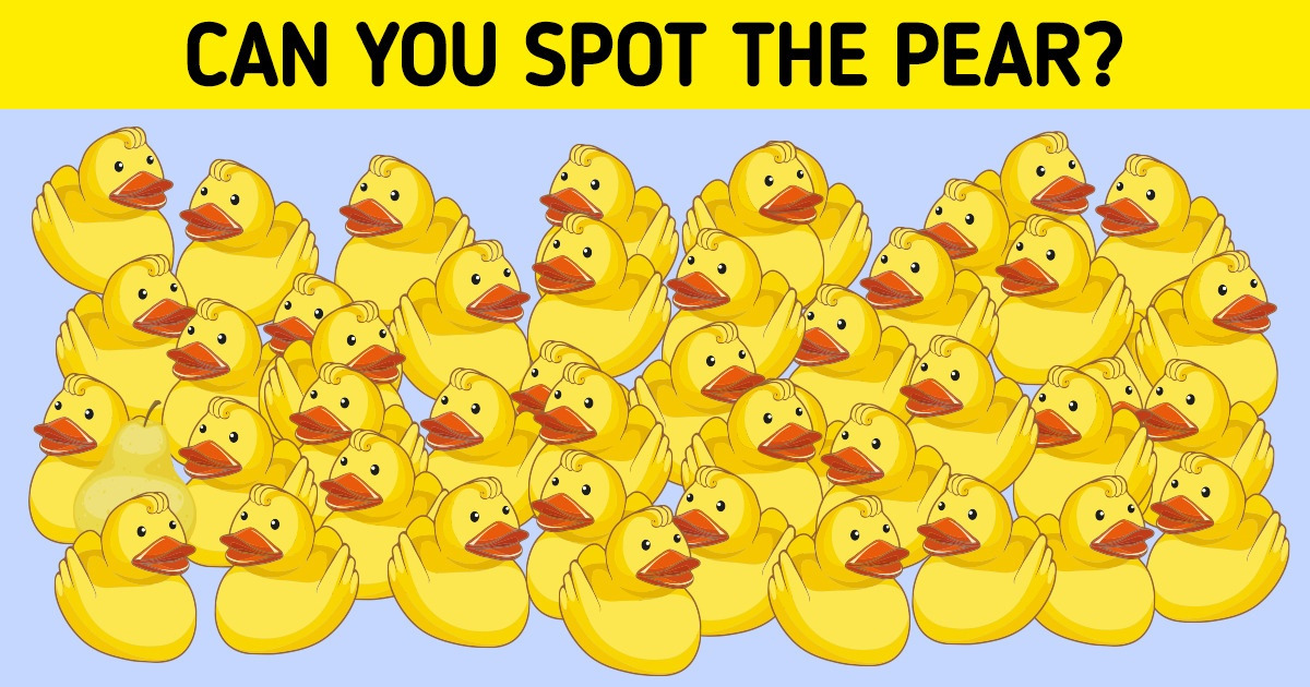 Test Your Vision and Find the Odd Ones Out in These 15 Pictures