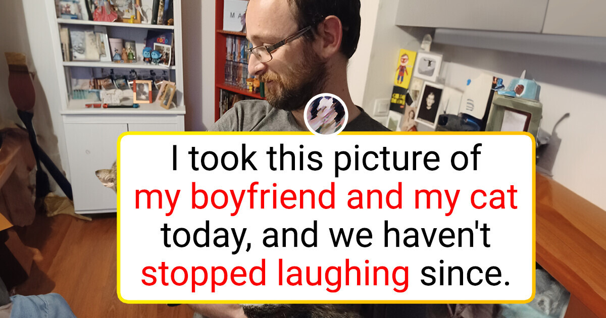 15 Pets Who Suddenly Decided to Become Someone Else
