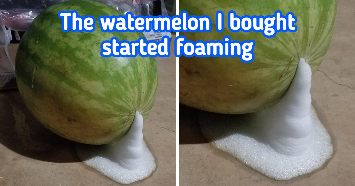 15 Things That Left People Wondering What Was Going On