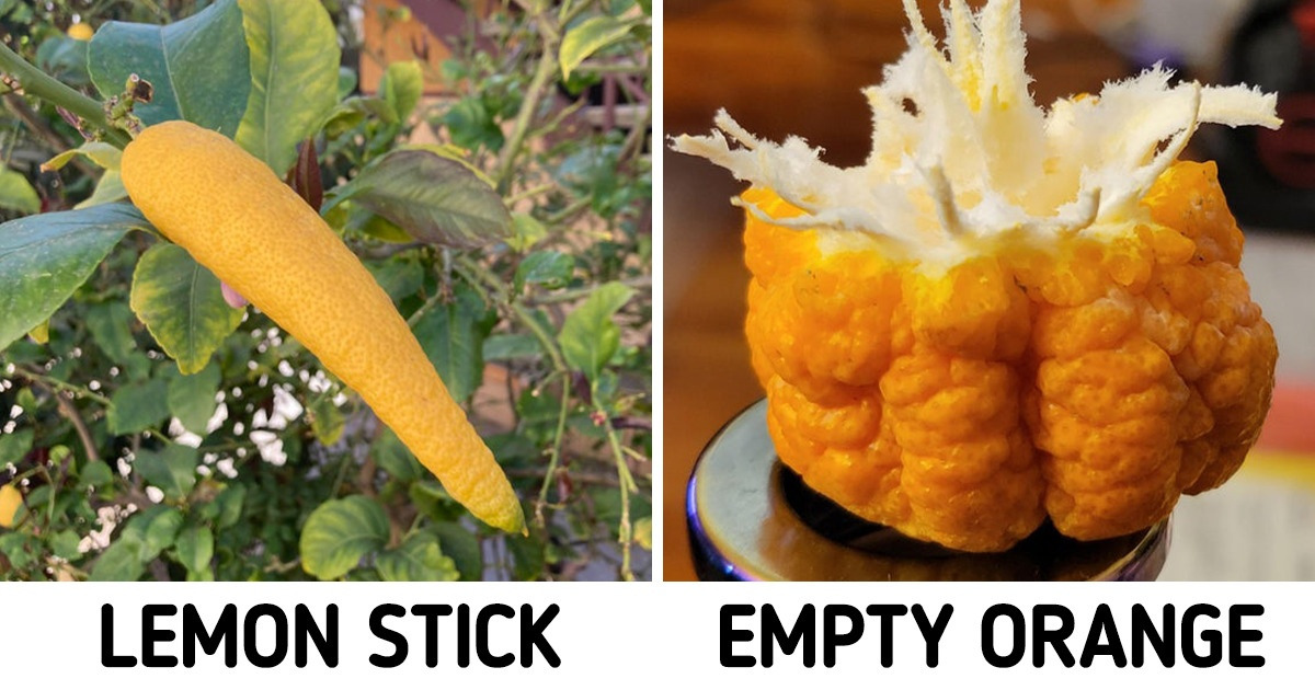 18 Times When Fruits and Vegetables Decided to Go Against the Flow