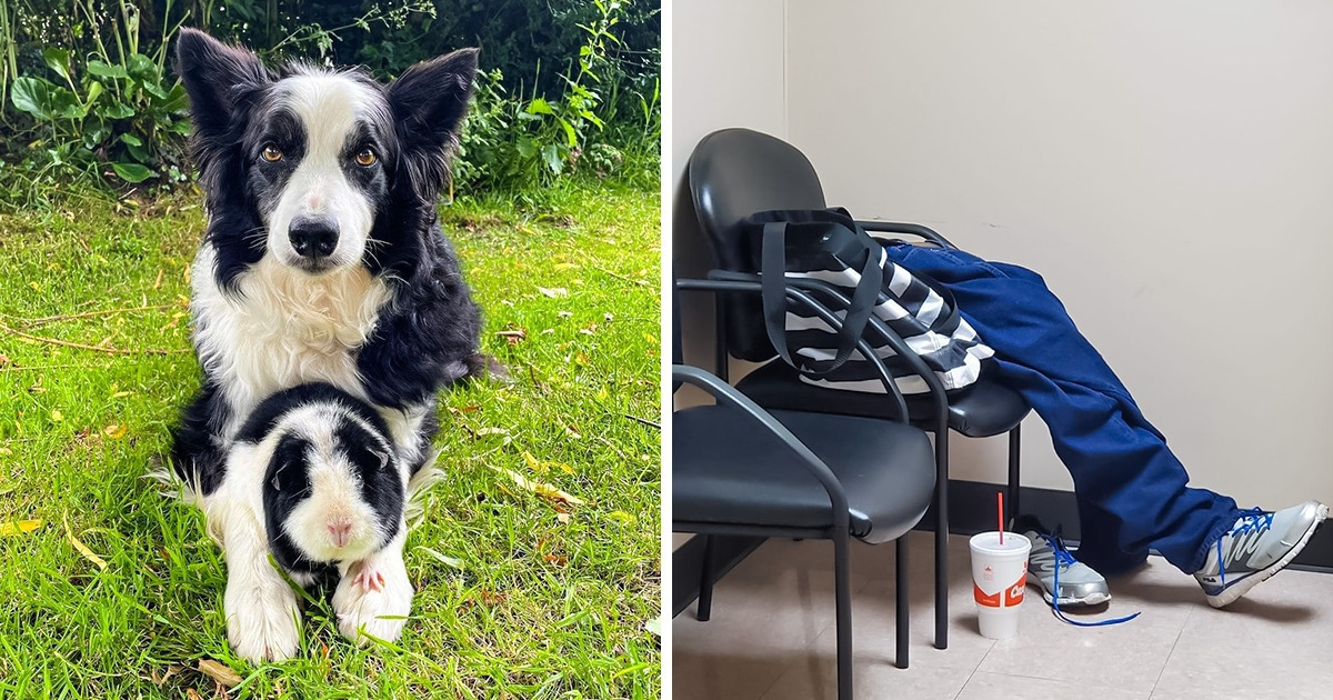 18 Odd Pics That Will Urge You to Understand What’s Going On