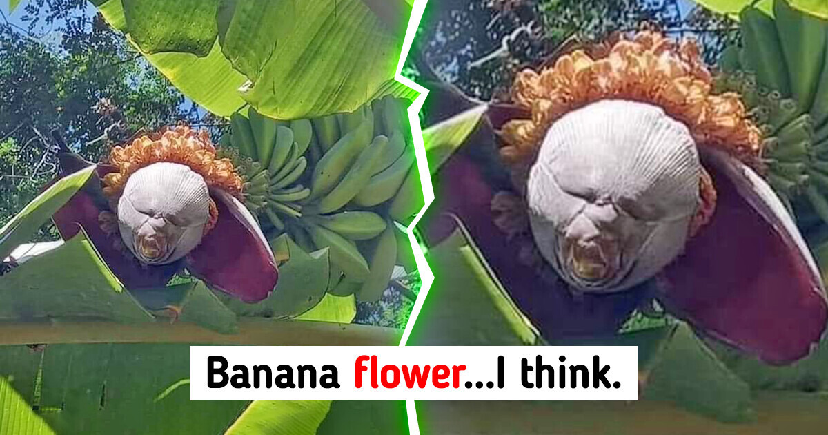 15 Confusing Photos That Can Throw Us for a Loop