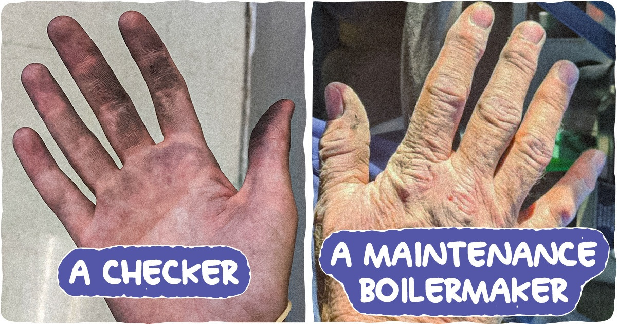 20+ People Revealed What Their Professions Are Really Like