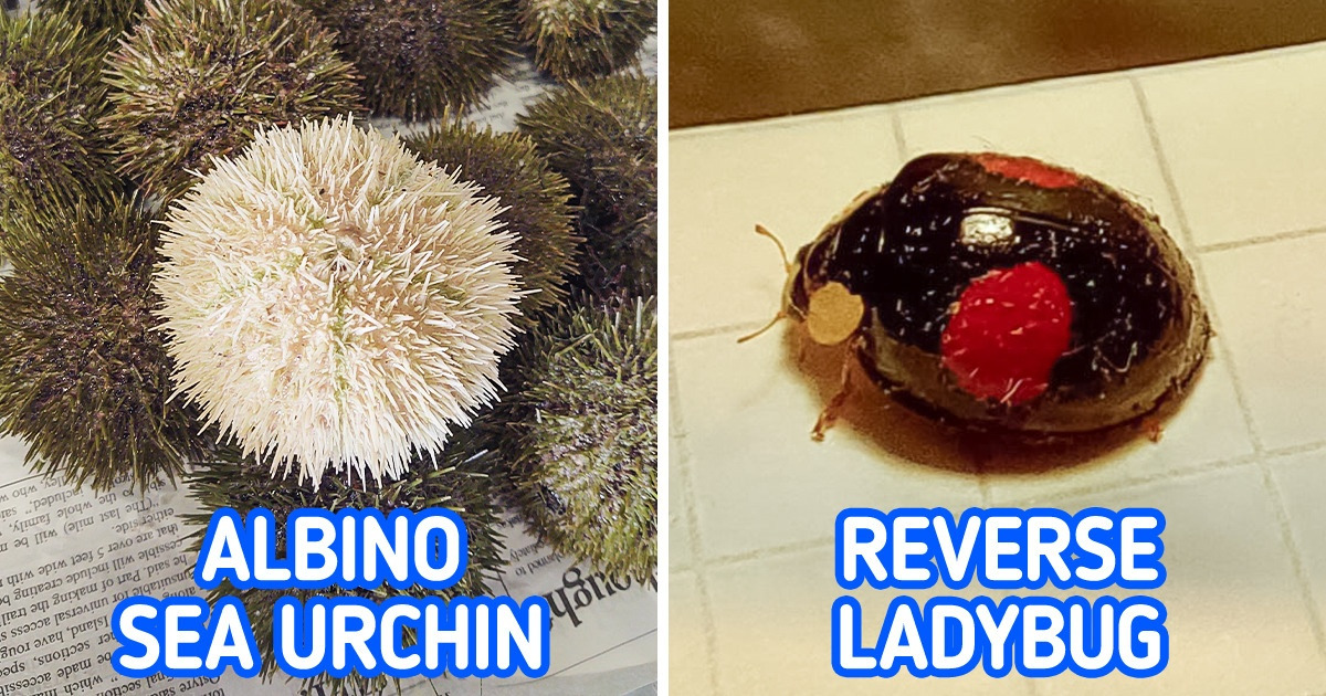 15+ Pics That Prove the World Is Full of Mind-Blowing Gems 15+ Pics That Prove the World Is Full of Mind-Blowing Gems