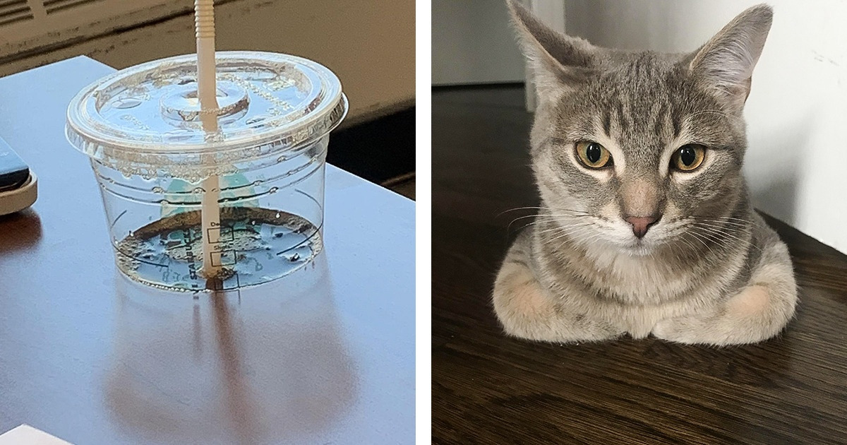 20 Pics That Need a Super Brain to be Figured Out