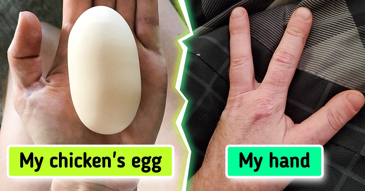 20+ Pics Proving Our World Is a Box of Exciting Curiosities