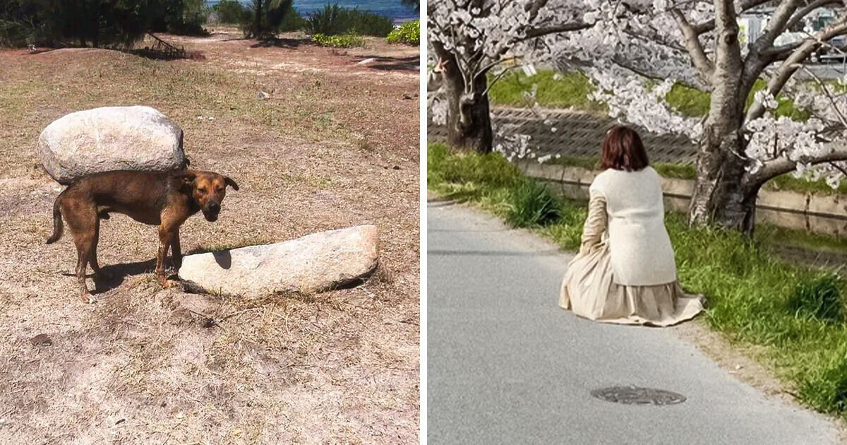 15+ Astonishing Photos Taken Under Unique and Unexpected Circumstances 15+ Astonishing Photos Taken Under Unique and Unexpected Circumstances