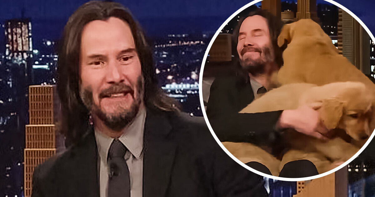 Keanu Reeves Melts Hearts As He Cuddles with Adorable Puppies