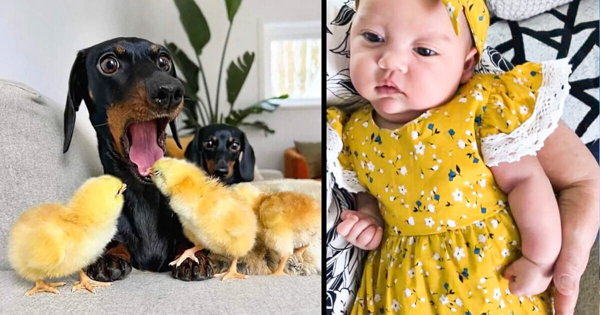 18 People Who Knew Exactly When to Press Click