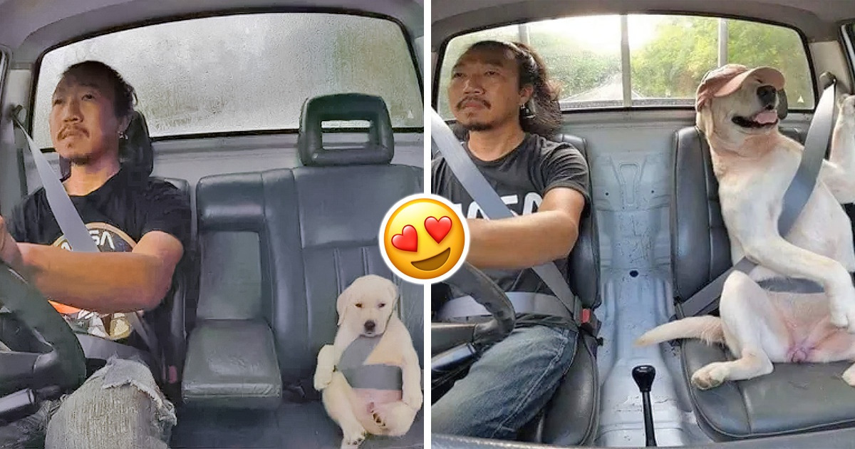 16 Pictures That Show How Life Evolves But Never Really Changes