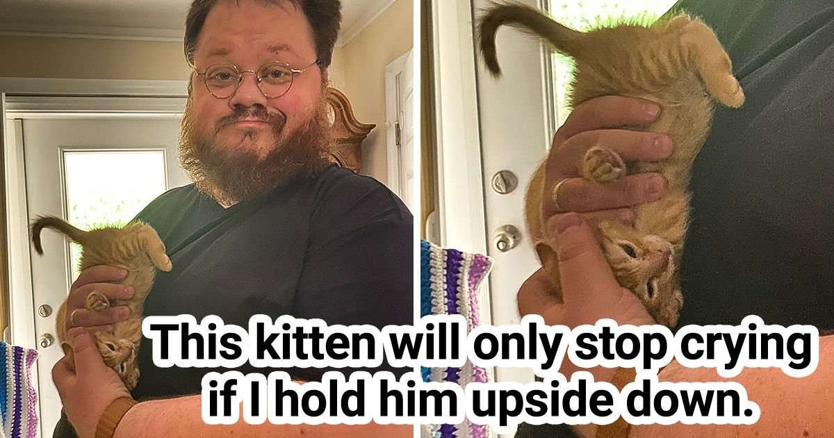 20 Pets Who Know How to Push Our Giggle Buttons