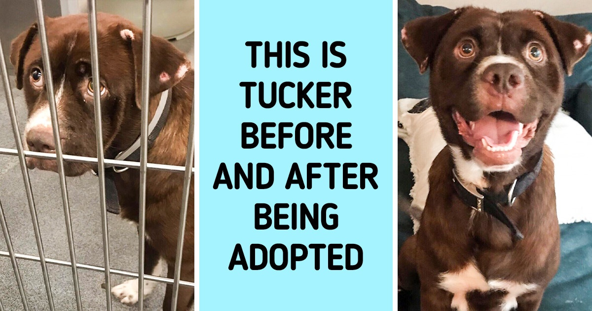 15 Loving Photos That Warm Hearts in the Coldest Seasons