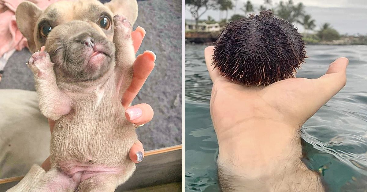 22 Pictures That Made Us Pick Our Brains to Understand Them