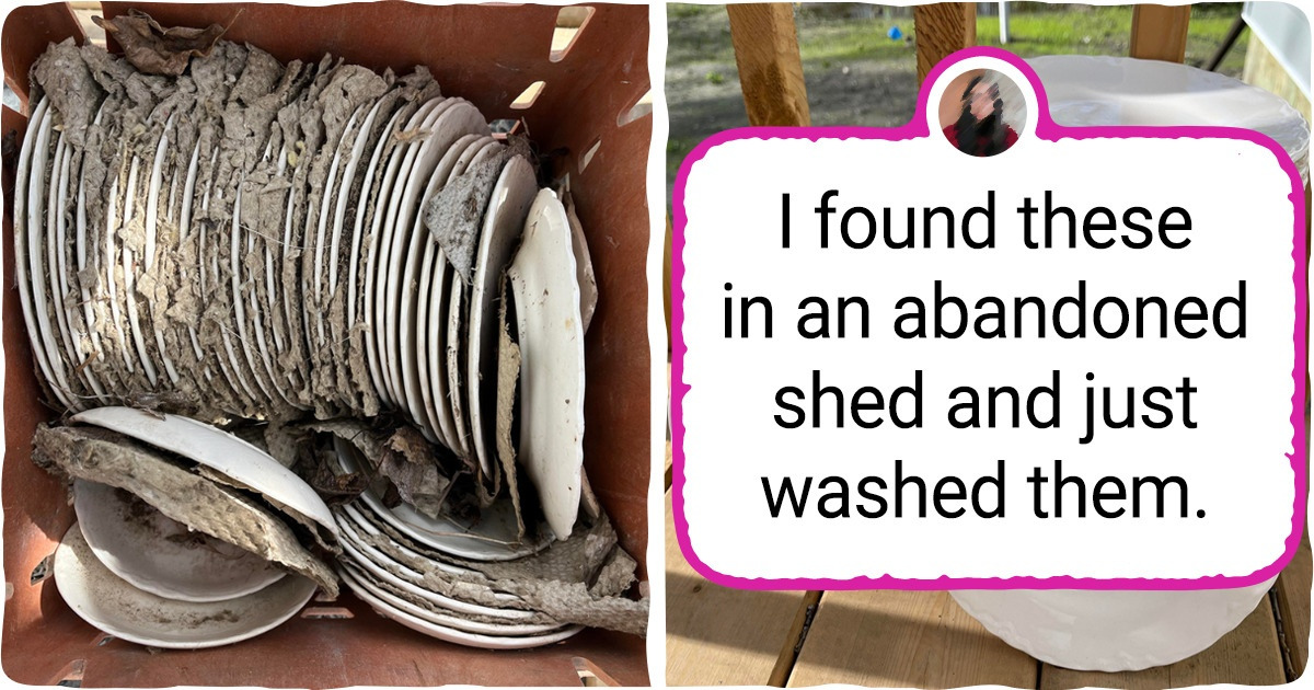 17 Terrific Finds Discovered by People Who Seem to Be Blessed by the Dumpster Gods 17 Terrific Finds Discovered by People Who Seem to Be Blessed by the Dumpster Gods