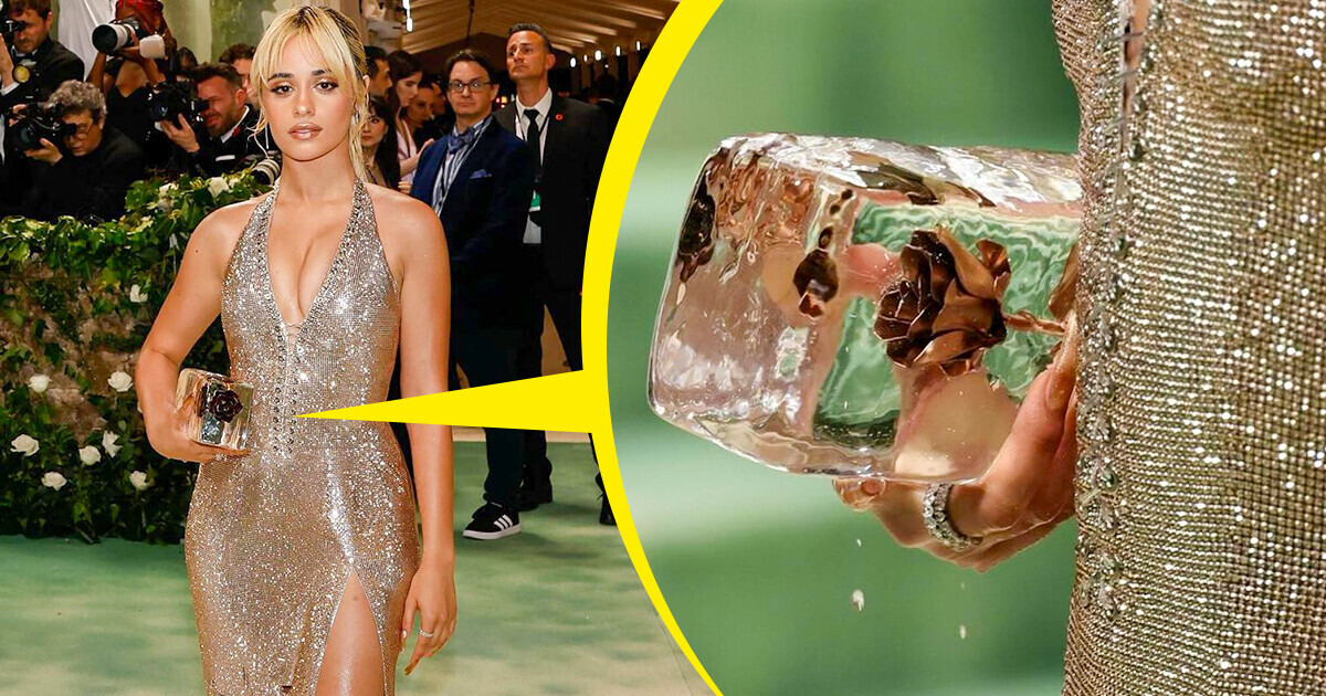 Camila Cabello Bluntly Shared What Was Behind Her Ice Purse Creation and People Were Shocked Not Only With It
