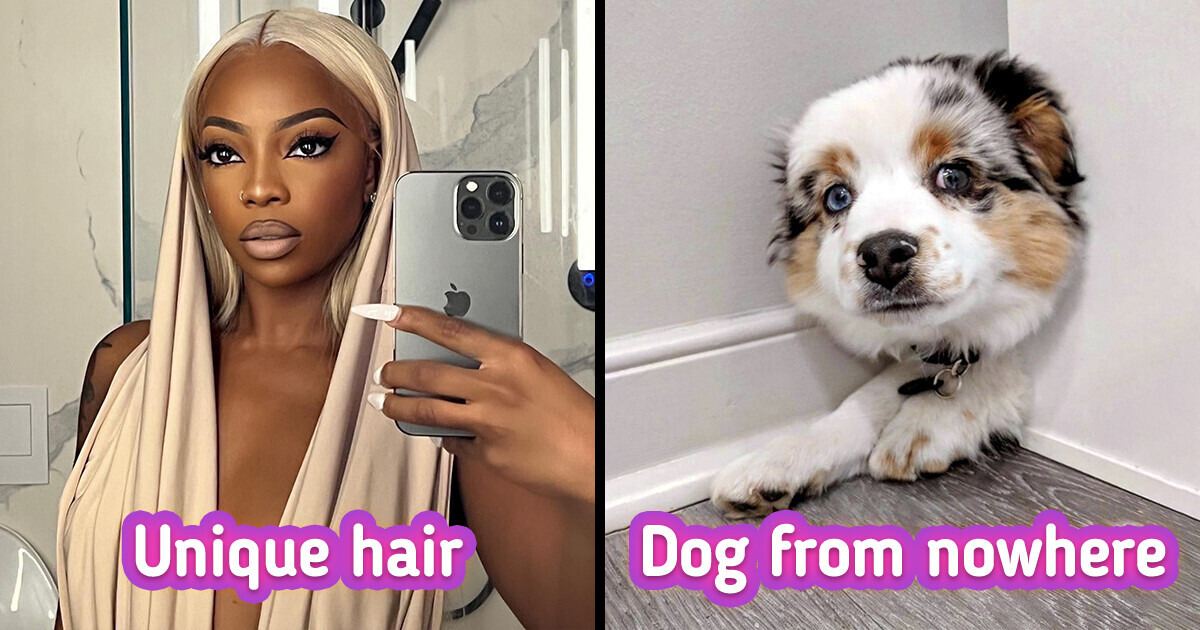 15+ Confusing Pics That You Need to Triple-Check