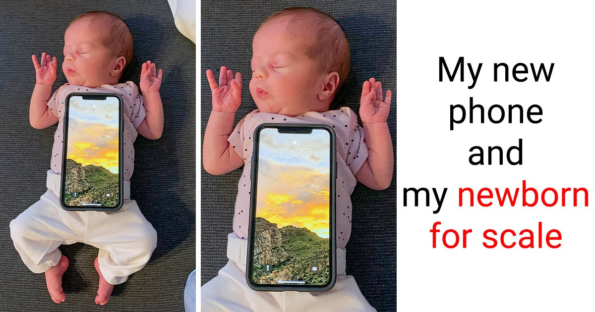 15 Photos That Give Away the Real Size of Objects Only by Comparison