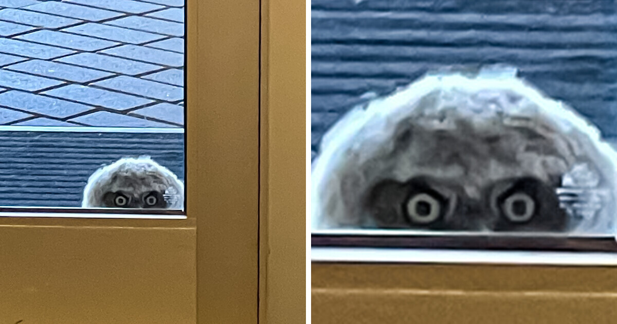 People at a School Notice They’re Being Watched
