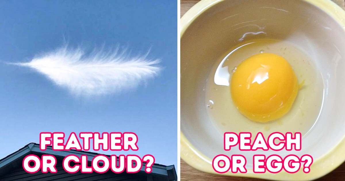 19 Curious Pics That Will Take Our Mind on a Rollercoaster Ride