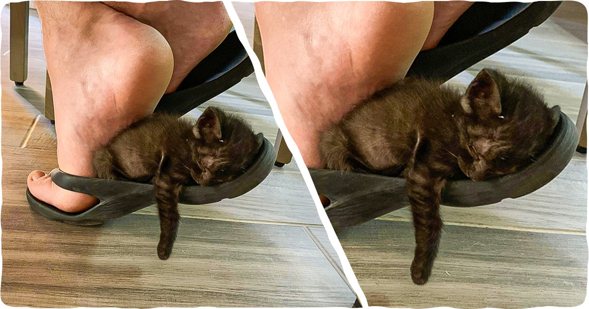 16 Photos That Radiate a Whole Wave of Warmth 16 Photos That Radiate a Whole Wave of Warmth