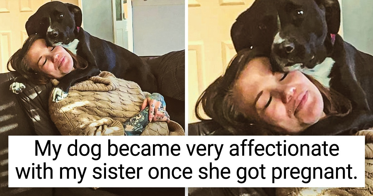 15+ Pets Whose Hearts Have Infinite Amount of Love in Them