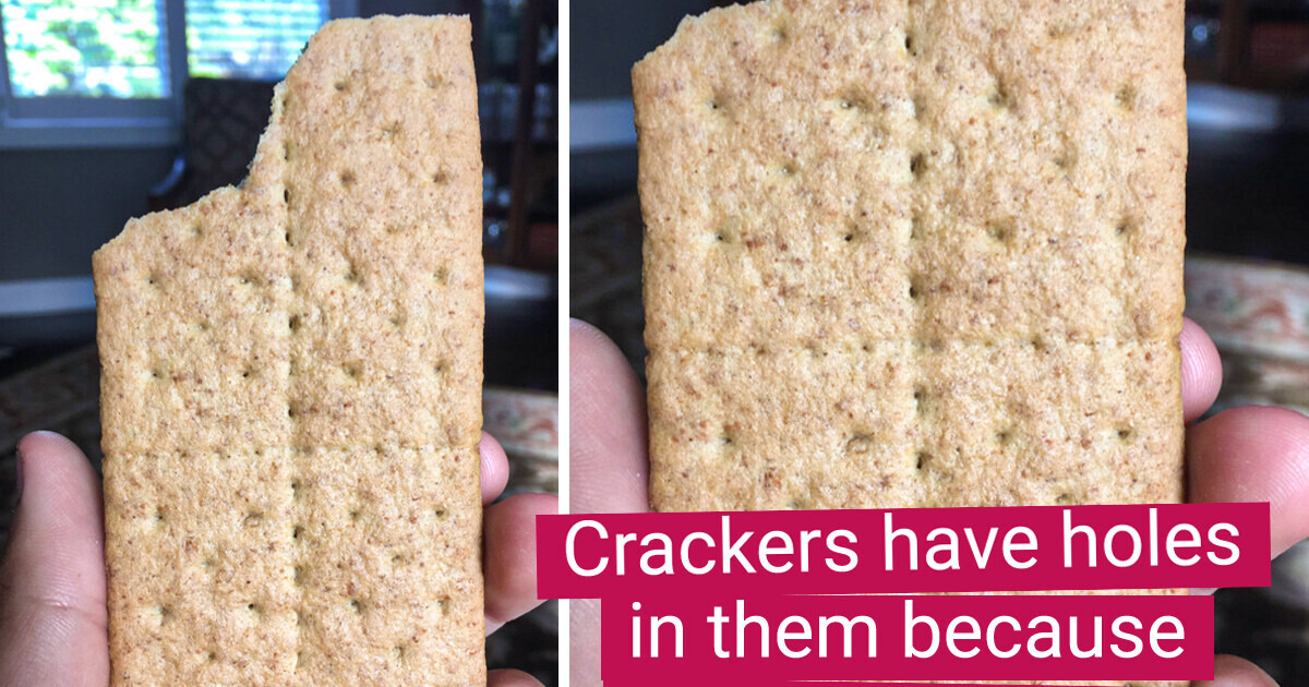 9 Startling Facts That Will Make You Look at Everyday Things Differently