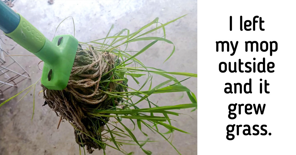 17 Images That Are Way Too Interesting to Hide Under The Rug