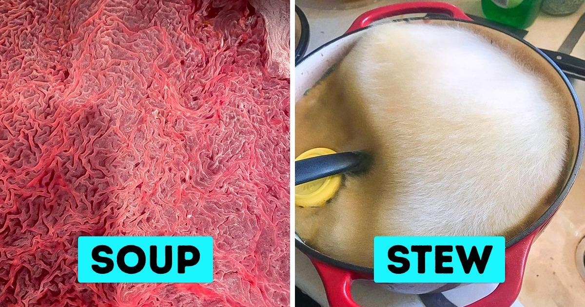 20+ Tireless Experimenters That Answer the Question, “What If?”